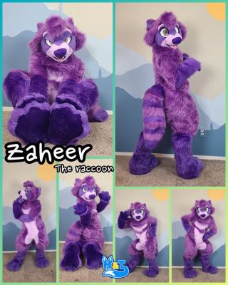Zaheer-fullsuit