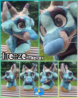 breeze-head