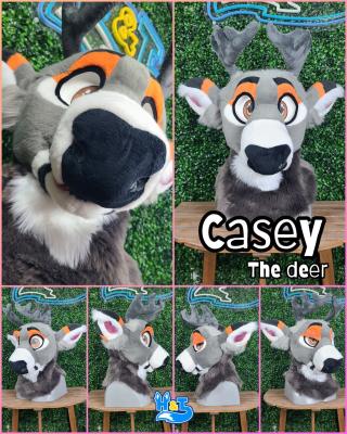 casey-head