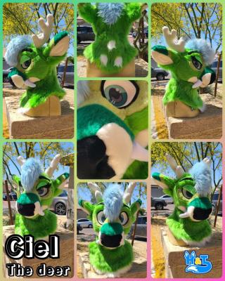 ciel-head