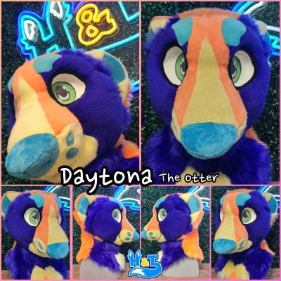daytona-head