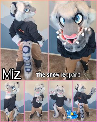miz-partial
