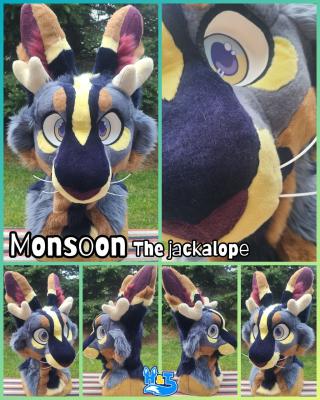 monsoon-head