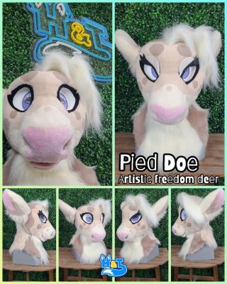 pied-doe-head