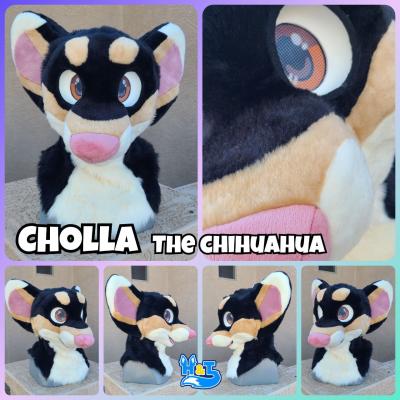 cholla-head