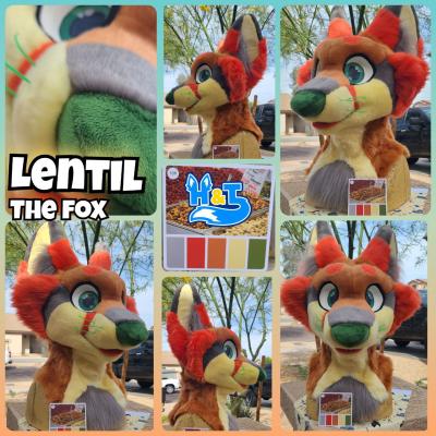 lentil-head