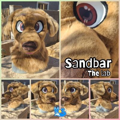 sandbar-head