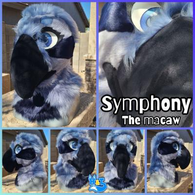 symphony-head