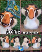 archie-head
