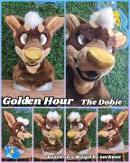 Golden-Hour-head