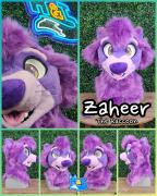 Zaheer-head