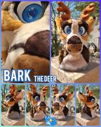 bark-head