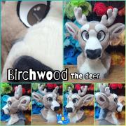 birchwood-head