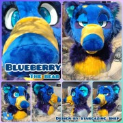 blueberry-head