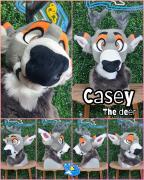 casey-head