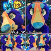 daytona-head
