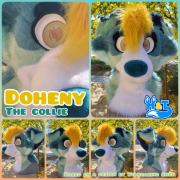 doheny-head