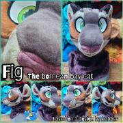 fig-head