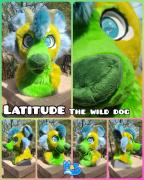 latitude-head