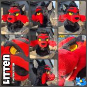 litten-head