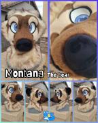 montana-head