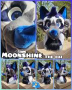 moonshine-head
