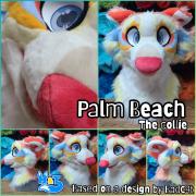 palm-beach-head