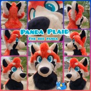 panda-plaid-head