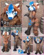 tay-full