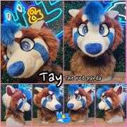 tay-head