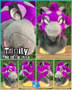 trinity-head