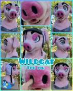 wildcat-head