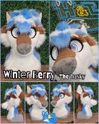 winter-berry-head