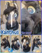 xanthus-head